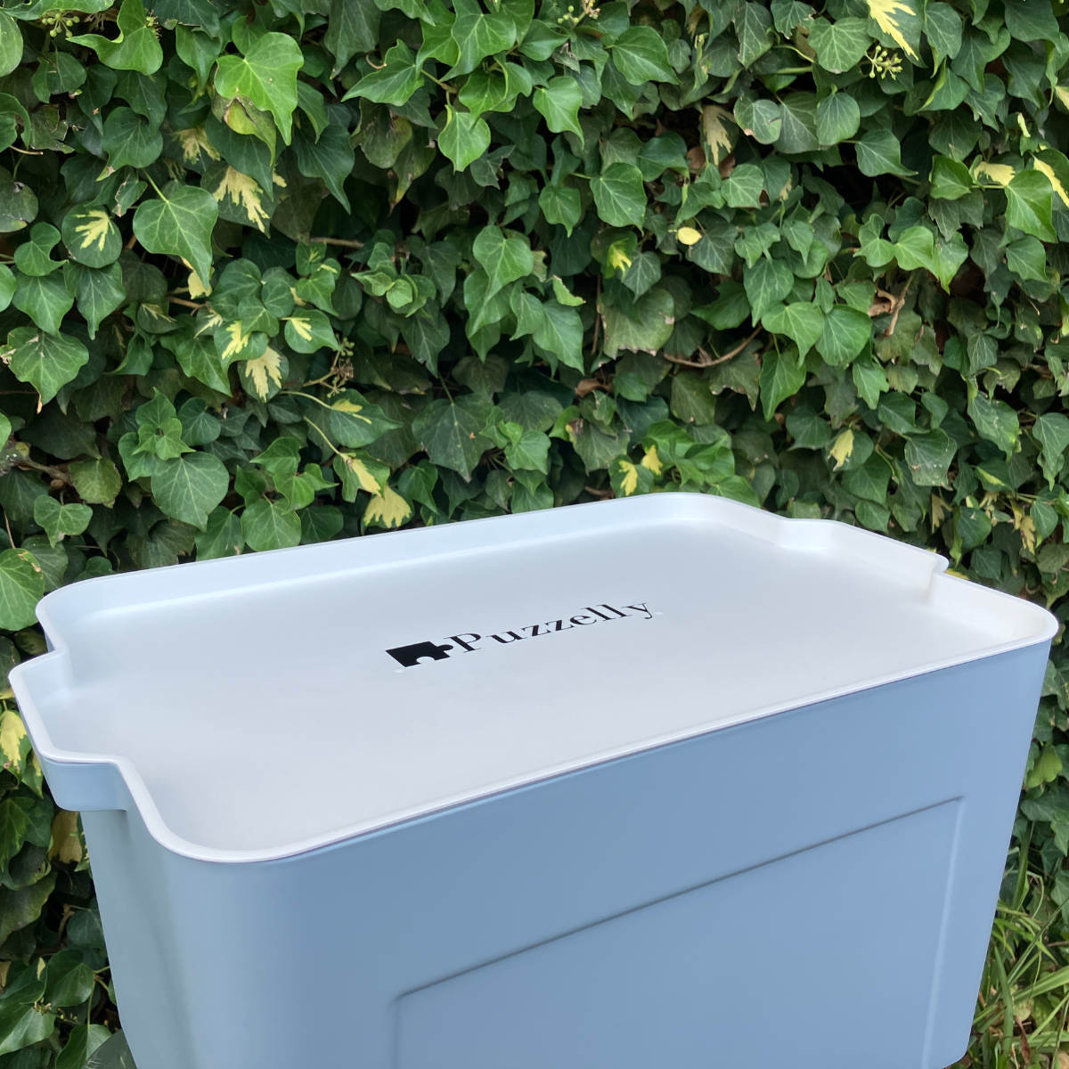 Local Puzzle Rental Box