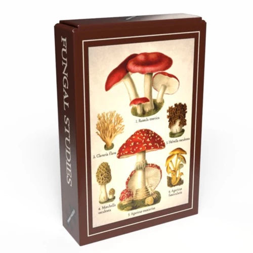 Penny Puzzle |  Fungal Studies, 99 Pieces
