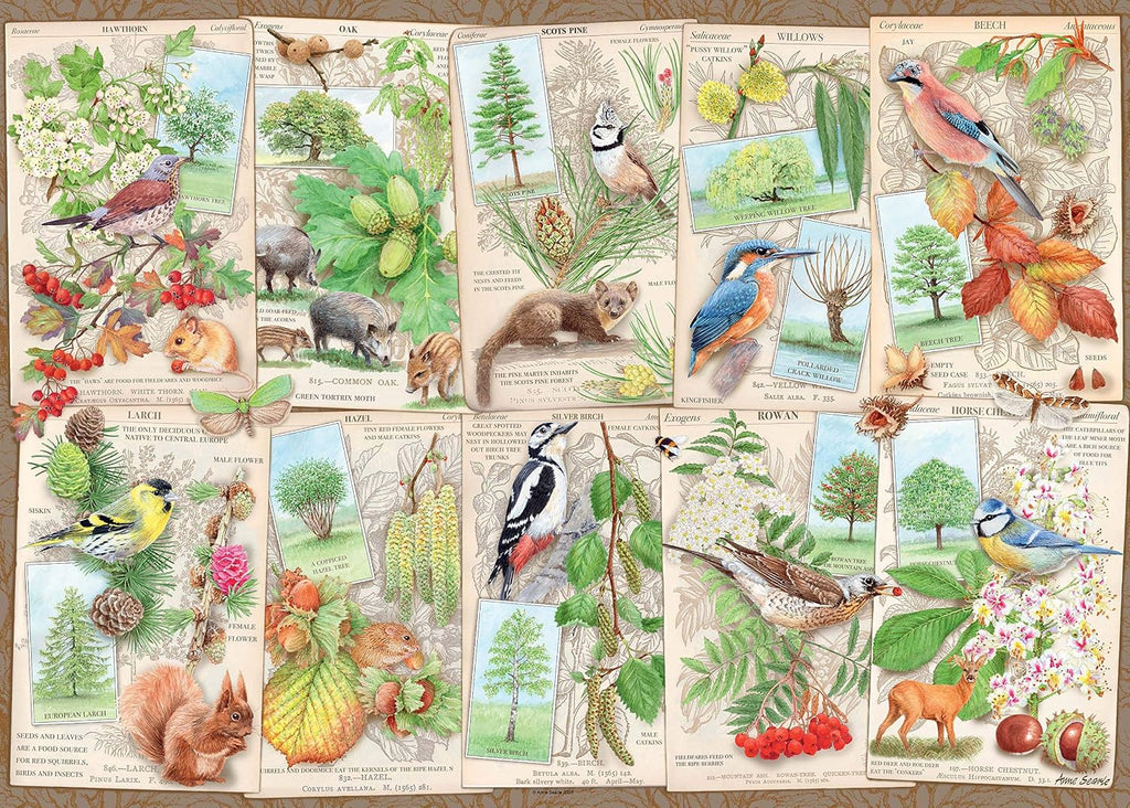 Wondrous Trees, 1000 Pieces